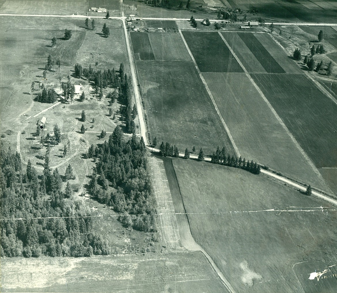 An aerial view of the Northwestern Agricultural Research Center in 1949. (Courtesy photo)