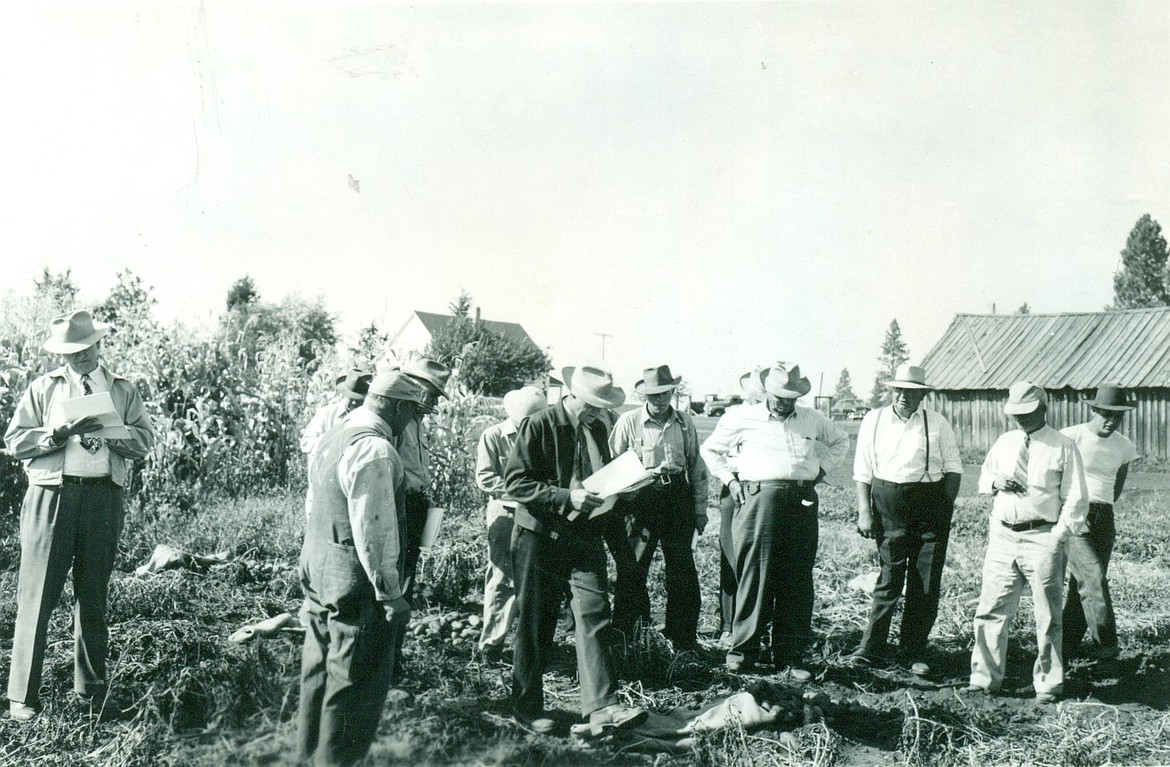 Potato Day in 1949 at the Northwestern Agricultural Research Center. (Courtesy photo)