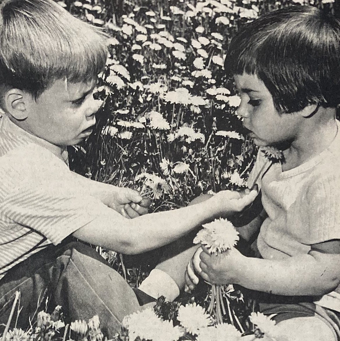 Siblings Christopher and Stephenie Cozad play the Dandelion Game.