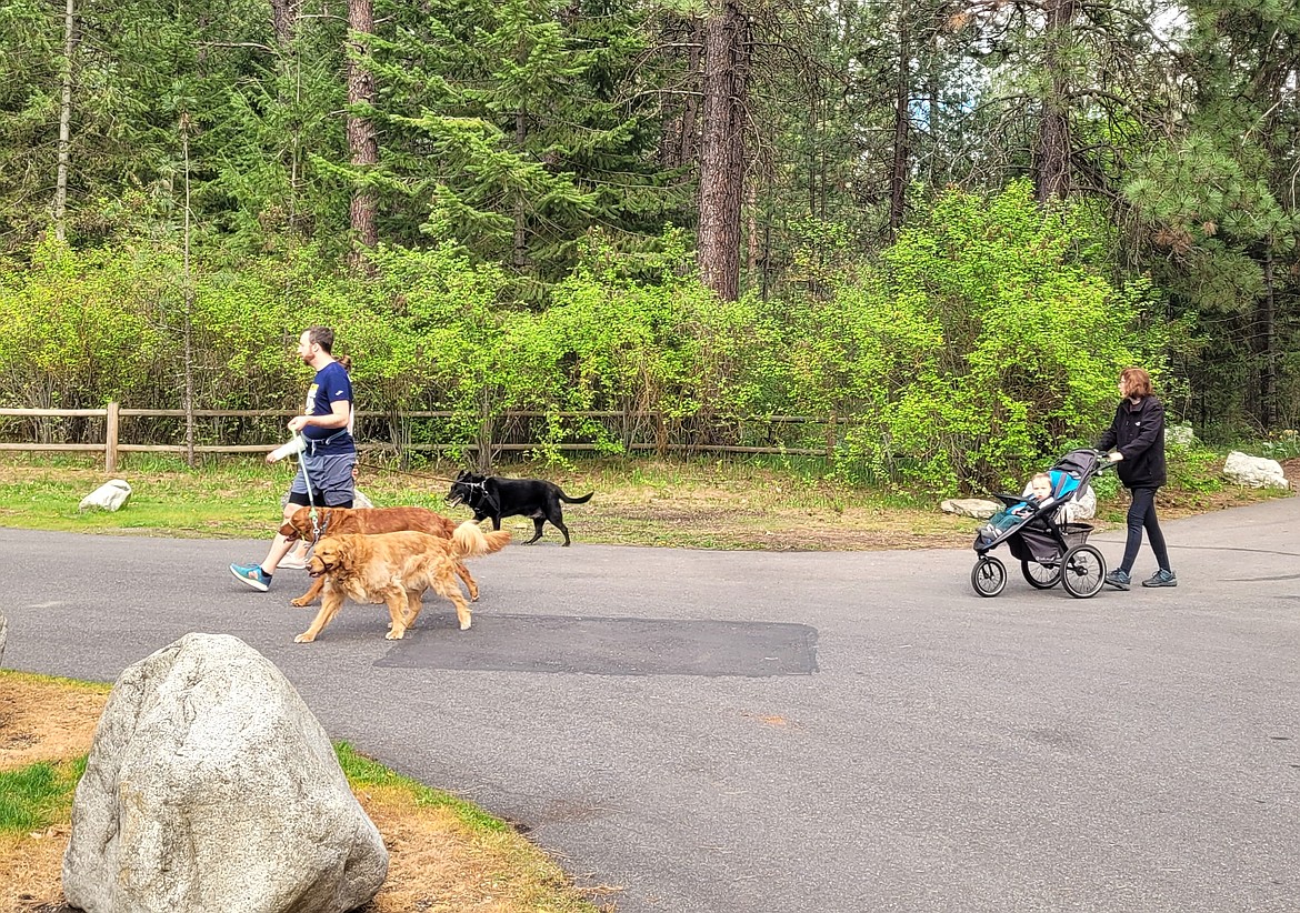 Kevin Dickson of Post Falls and mom Kelley Dickson walk with family and pets Wednesday evening at Kiwanis Park in Post Falls where trail revision is being conducted.