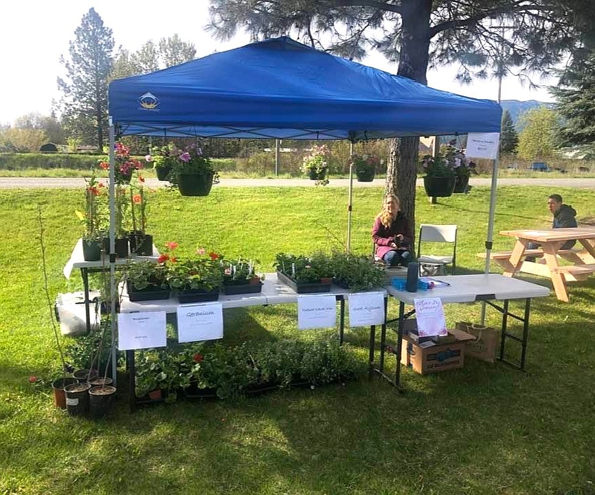 A plant booth at the Moyie Springs Outdoor Market.