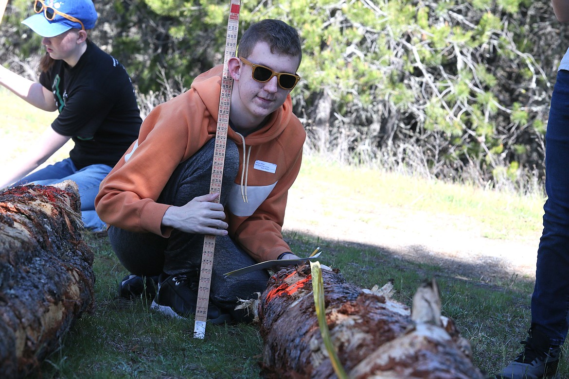 Sandpoint High junior Zane Walson measures a log at the scaling station Thursday morning during the Idaho State Forestry Contest.