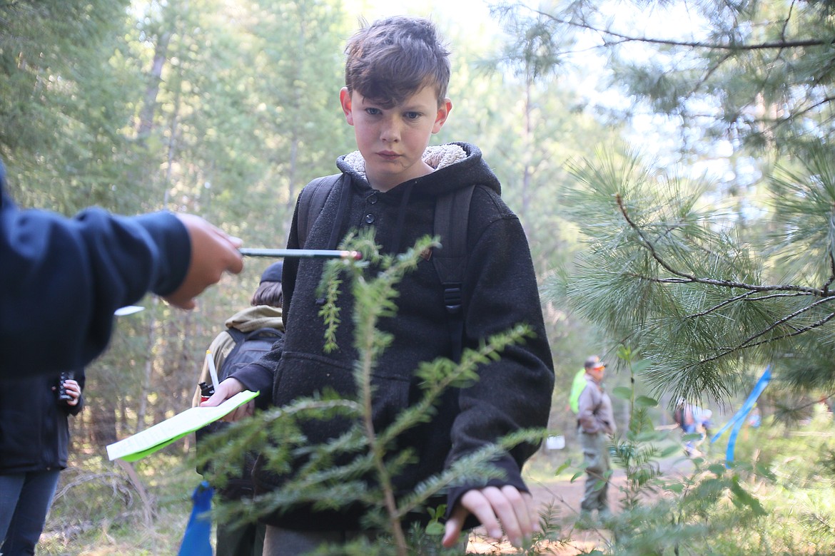 Brougham Collins, a sixth grader from Forrest Bird Charter School, participates in the Idaho State Forestry Contest's rookie silviculture station Thursday morning.