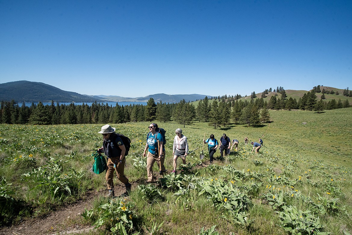 FWP land improvement specialist Kalle Fox leads a group of volunteers on a trail-building trek on Wild Horse Island Saturday, May 11. (Avery Howe/Bigfork Eagle)