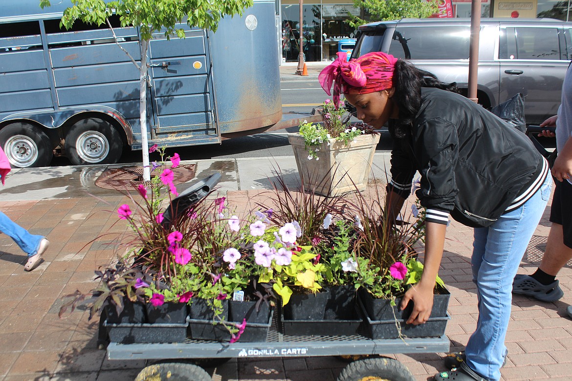 Nia Whitfield fills a wagon with flowers to be planted downtown. Students from Moses Lake High School’s horticulture class and the MLHS FFA chapter planted the flower pots along Third Street and side streets Wednesday.