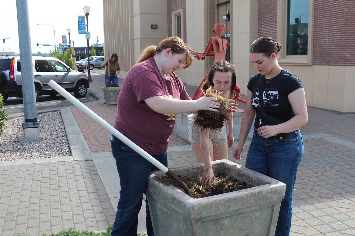 From left, Samantha Underwood, Anjelica Cochrun and Abby Stowers clean out a planter.