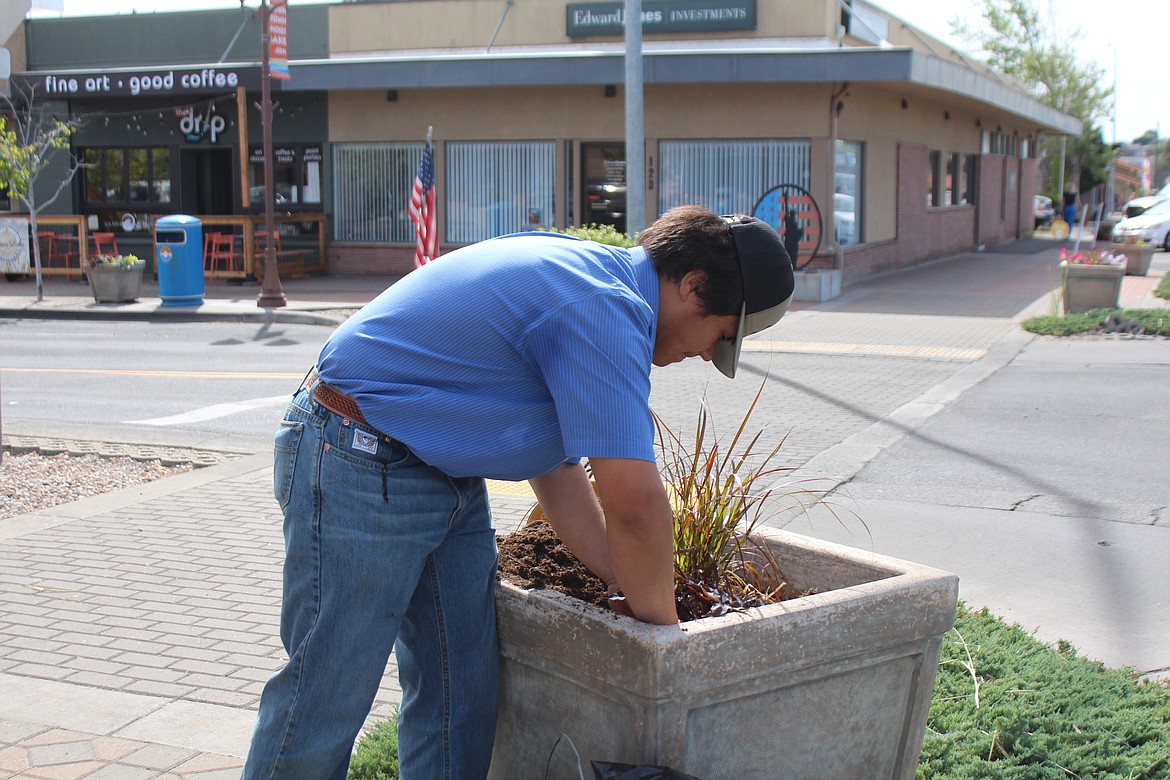 Carlos Orozco adds flowers to a downtown planter. He and several classmates participated in the annual downtown beautification project.