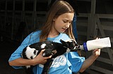 From farm to table: Fifth graders experience agriculture at Kootenai County Fairgrounds