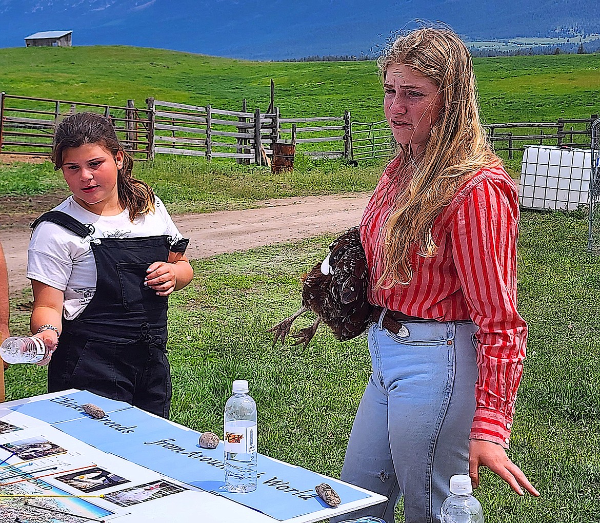 Senior 4-Her Lina Sturman talks to fourth graders about chickens – how much sunlight they need to continue laying eggs, how many eggs a hen lays in a year, different breeds and housing. (Berl Tiskus/Leader)