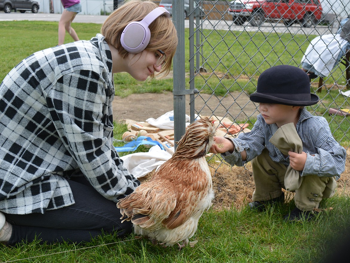 Cassandra Fawcett watches as Aohdan Creighton offers chicken feed to Kumquat the chicken at Lakes Middle School on Thursday.