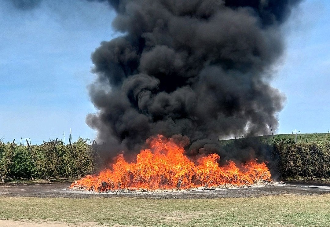 Royal Slope firefighters knocked down a fire at an orchard near Royal Camp Wednesday afternoon.