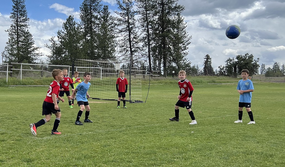 Photo by KATHY STERLING 
On Saturday at the Spokane Polo Fields in Airway Heights the Timbers North FC 2016 Boys Red team beat the Spokane Sounders B2016 South Krestian team 7-4. Timbers goals were scored by Elijah Cline (2), Mitchell Volland (3), Jaxson Matheney (1) and Greyson Guy (1). Pictured from left in the red jerseys are Elijah Cline, Isaak Sterling, Greyson Guy and Leo Leferink.