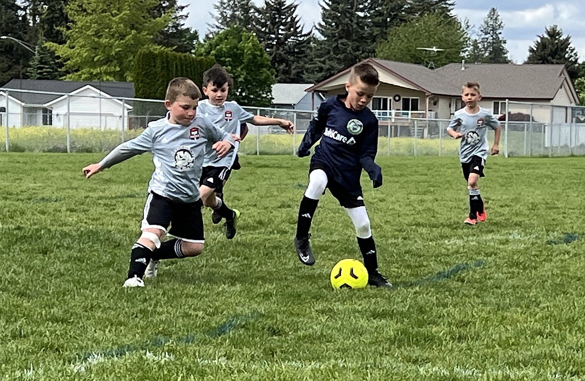 Photo by KATHY STERLING
On Saturday morning at Hayden Meadows Elementary School, the Timbers North FC 2016 Boys White team beat the Spokane Sounders B2016 North Belles team 13-3. Timbers goals were scored by Jaxson Matheney (2), Xavier Sousley (1), Grayson Martino (1), Peyton Schock (5), Greyson Guy (2), Leo Leferink (1) and Elijah Cline (1). Pictured from left in the gray jerseys are Peyton Schock, Xavier Sousley and Elijah Cline.