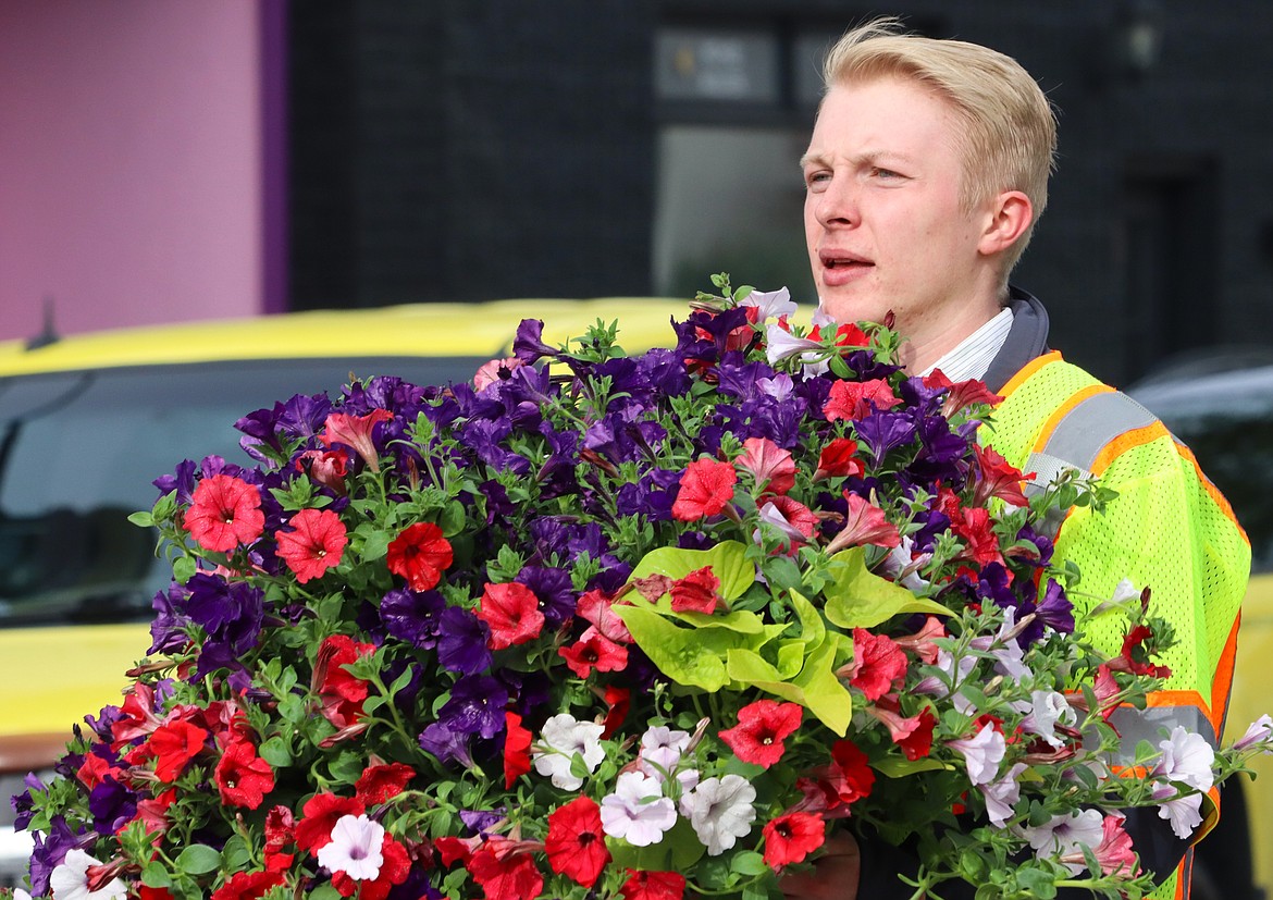 Ryland Hoit, a 2021 Lake City High School graduate and an intern with Welch Comer and Associates, carries a flower basket to its summer resting place on Tuesday.