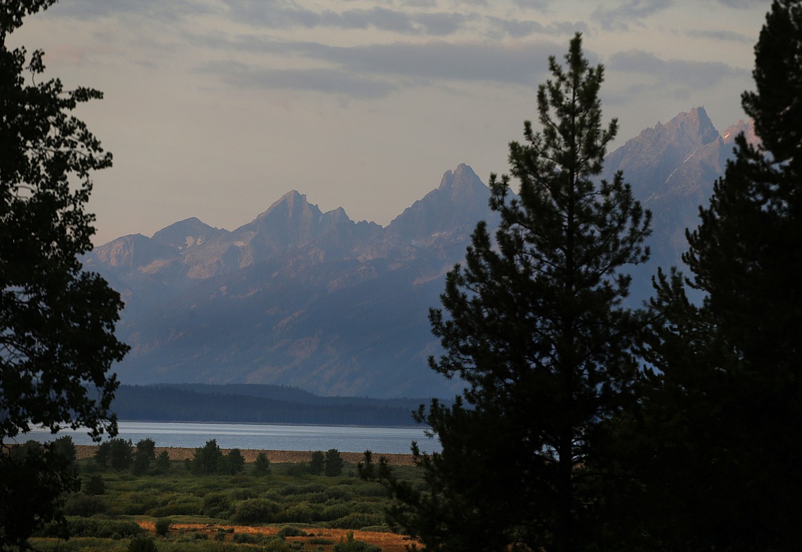 The morning sun illuminates the Grand Tetons at Grand Teton National Park, north of Jackson Hole, Wyo., Aug 26, 2016. A grizzly bear that attacked a hiker in Wyoming's Grand Teton National Park won't be captured or killed by wildlife authorities because it may have been trying to protect a cub, park officials said in a statement Tuesday, May 21, 2024. (AP Photo/Brennan Linsley, File)