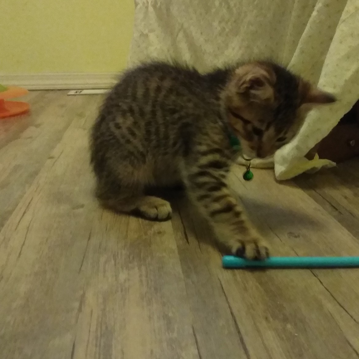 Gumball investigates an unusual object on the floor - it might be a pen, but it might not.