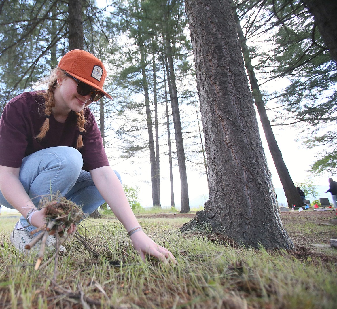 Junior Sydney Lauer gathers twigs Friday morning as she participates in the Timberlake High School Community Appreciation Day at Mountain View Cemetery. About 350 Timberlake students went out into the community to weed, plant, clean, clear and do other needed tasks at local elementary schools, parks and cemeteries.