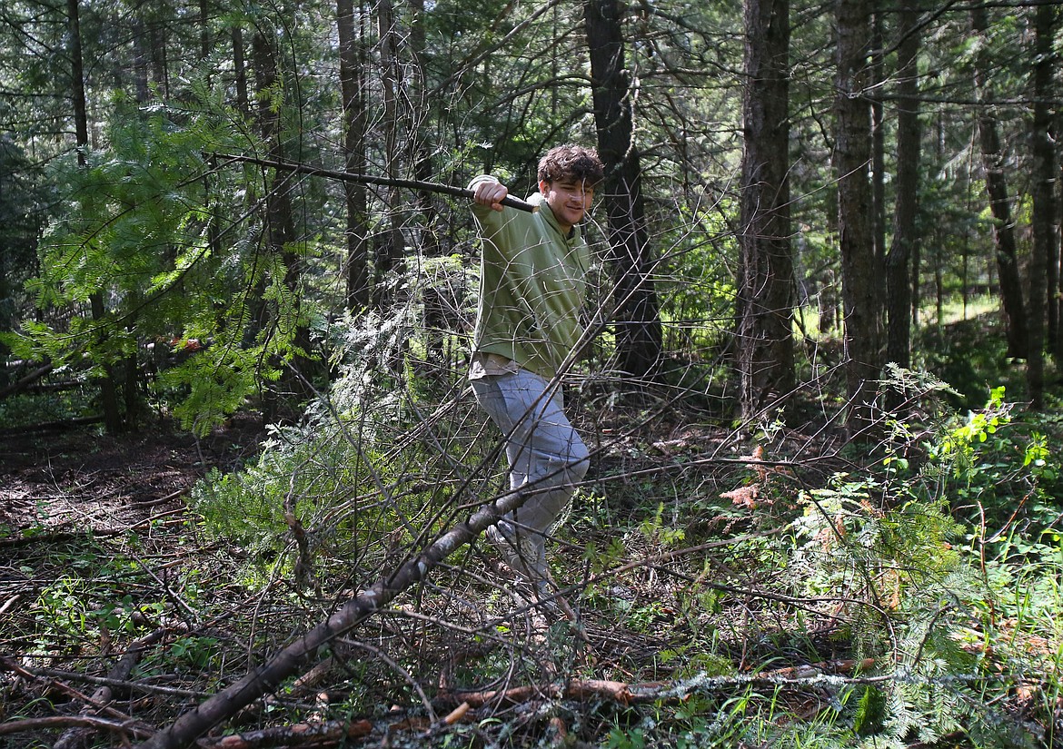 Daniel Dorman, a Timberlake senior, hauls branches Friday morning at Farragut State Park.