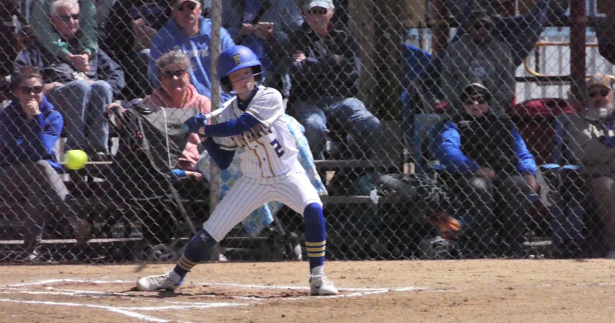 Lady Hawks end softball season at state - Vimarsana News