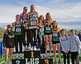 Whitefish girls place second, boys third at state track meet