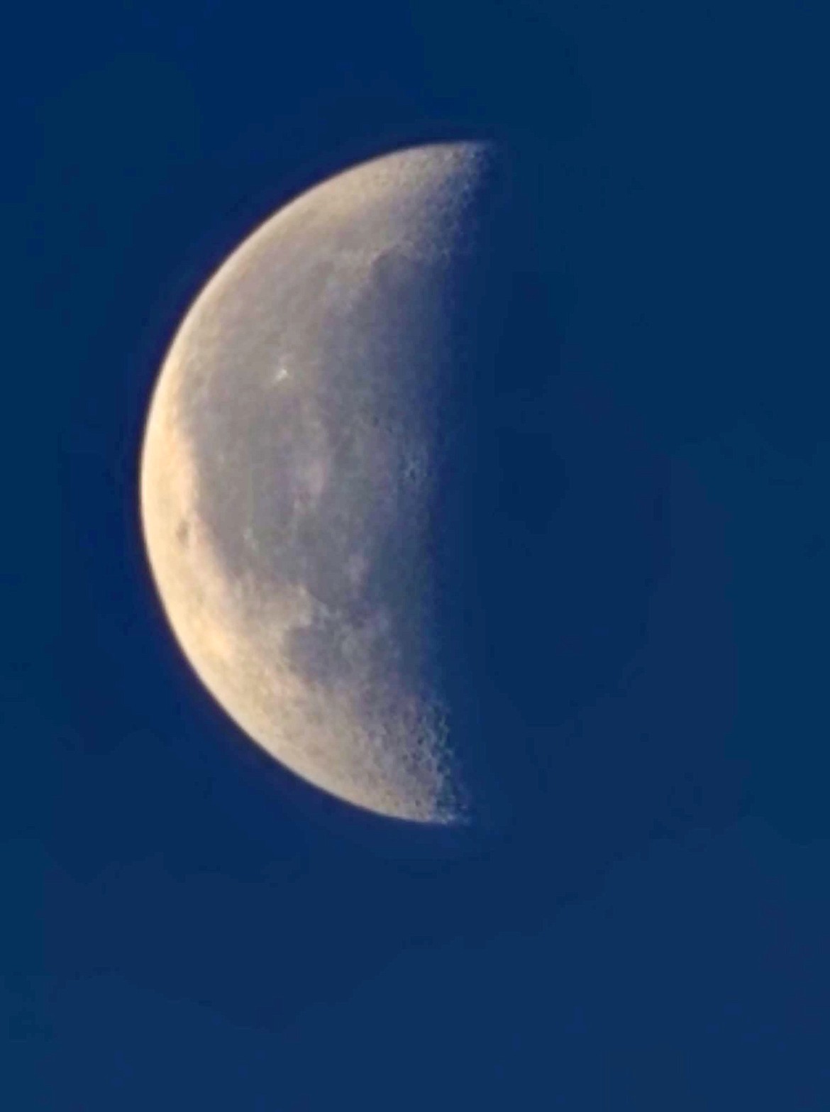 Bonner County Daily Bee