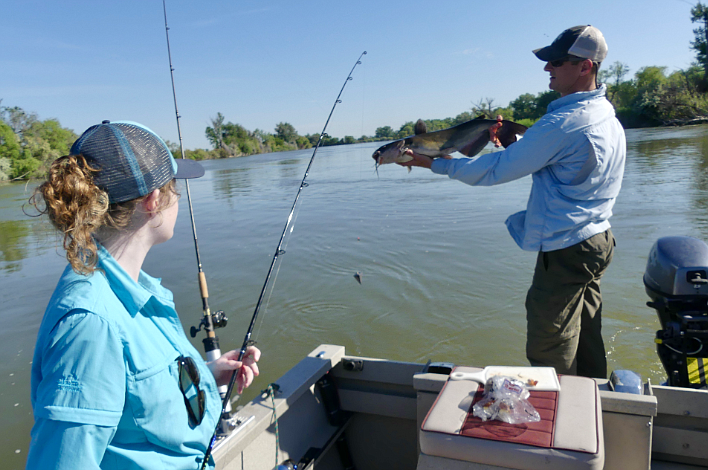 May and June are Fish and Game's biggest months for fish stocking