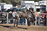 Last Stand Rodeo brings in thousands for 72nd annual event