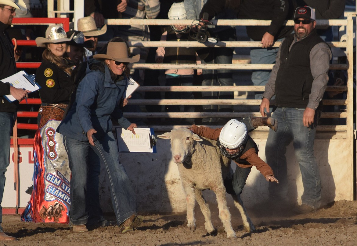 A seven-year-old contestant rides a sheep during Saturday’s mutton busting evening at the 2024 Last Stand Rodeo.