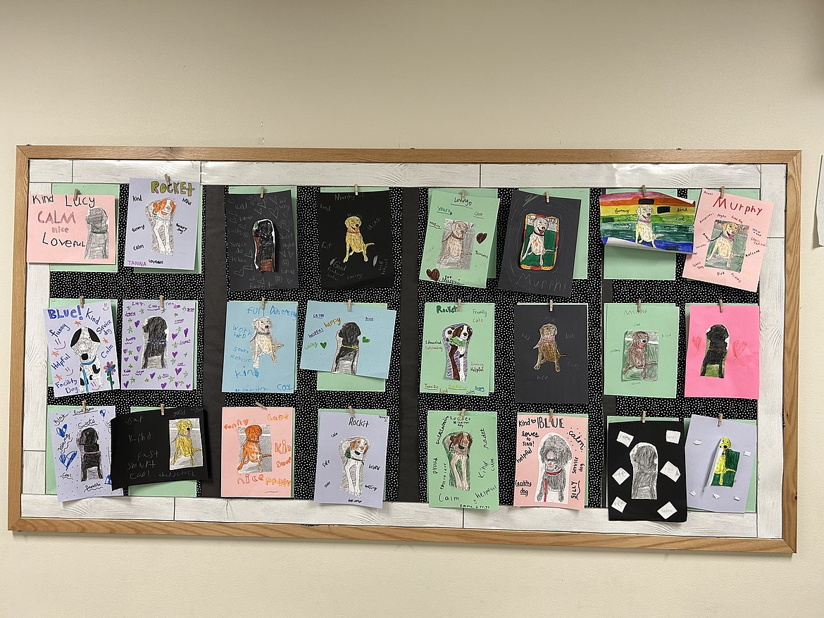 Northwest Expedition Academy fourth graders spent two months this spring learning all about support dogs, including local dogs Lucy, Rocket and Murphy. The students also made their own art of the canines, pictured here.