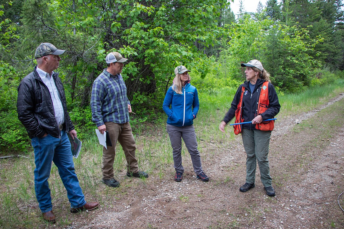 Gov. Greg Gianforte meets with forestry officials outside of Creston while touring a fire mitigation site as part of his 56 county tour. (Kate Heston/Daily Inter Lake)