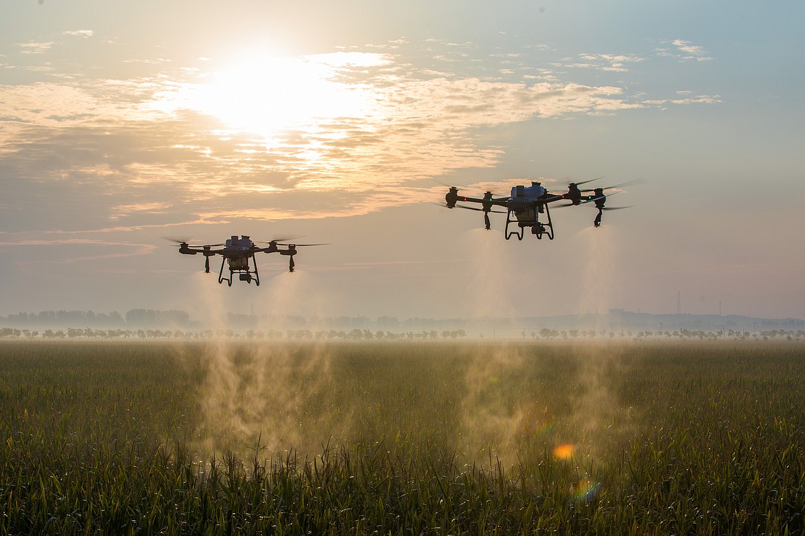 Drones apply pesticides from the air. As costs increase and standards shift, growers are finding more creative ways to protect their crops.
