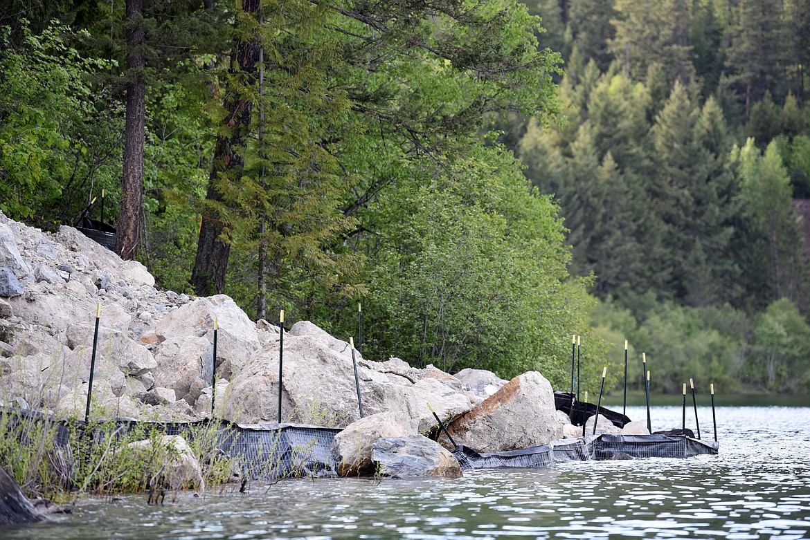 Debris and sediment on the shore of Whitefish Lake on May 31. (Kelsey Evans/Whitefish Pilot)