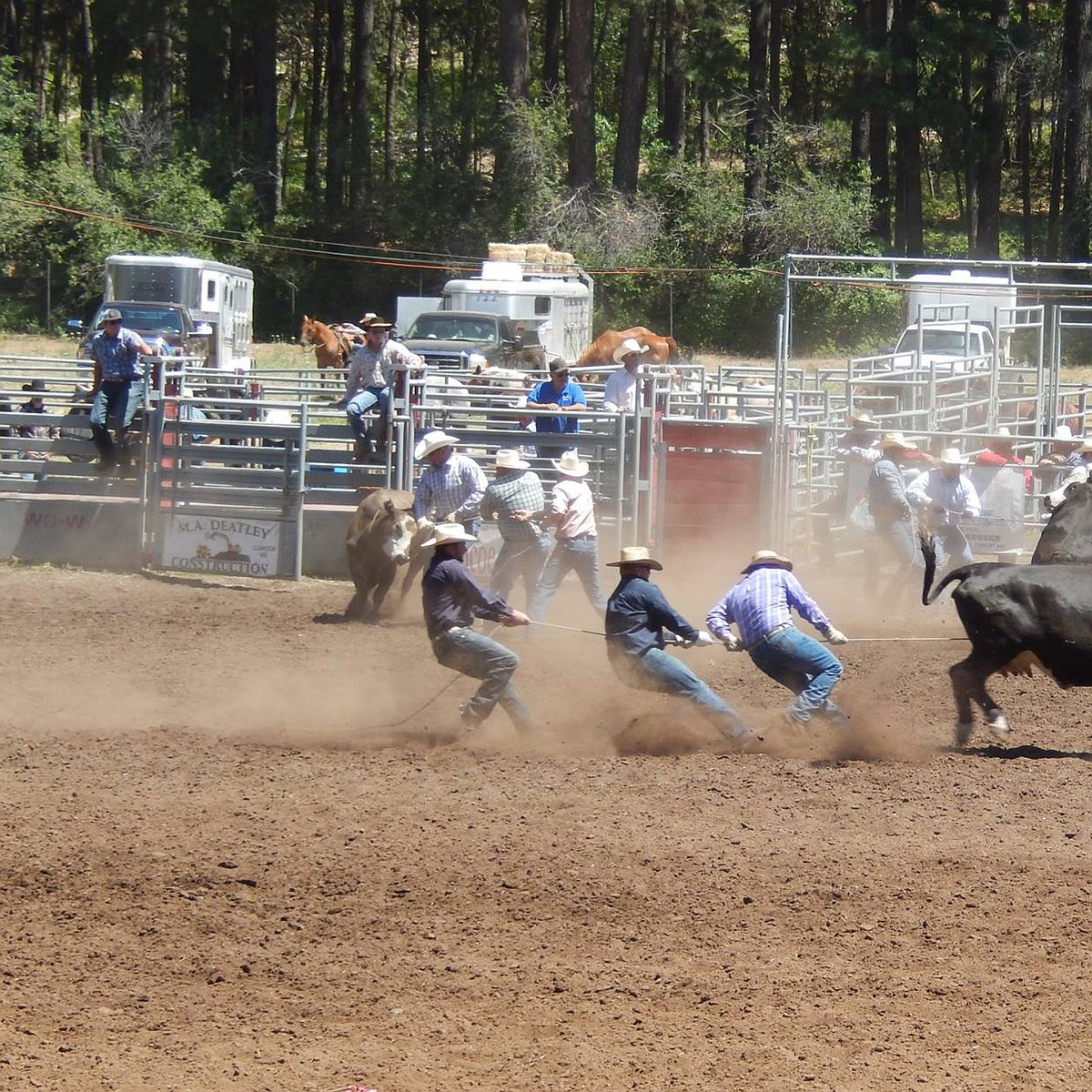 Wasatch County Rodeo ‘A step back in time’: Washington’s oldest rodeo is June 7-9 | Basin ...