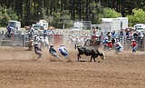 ‘A step back in time’: Washington’s oldest rodeo is June 7-9