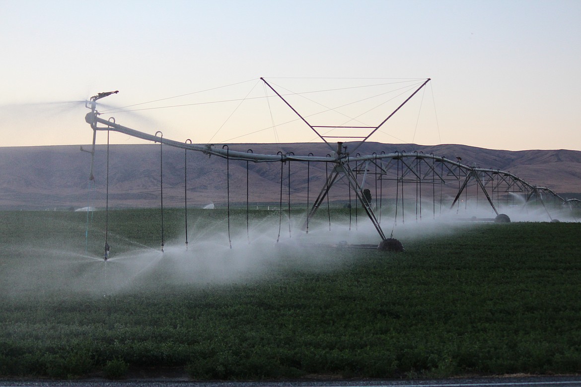 Dusk highlights irrigation sprinklers at work in a field near Mattawa. Driving around the Columbia Basin, crops are greening up and some hay farmers have bales in their fields as the “breadbasket of the Pacific Northwest” works to keep crops healthy and get them to market.