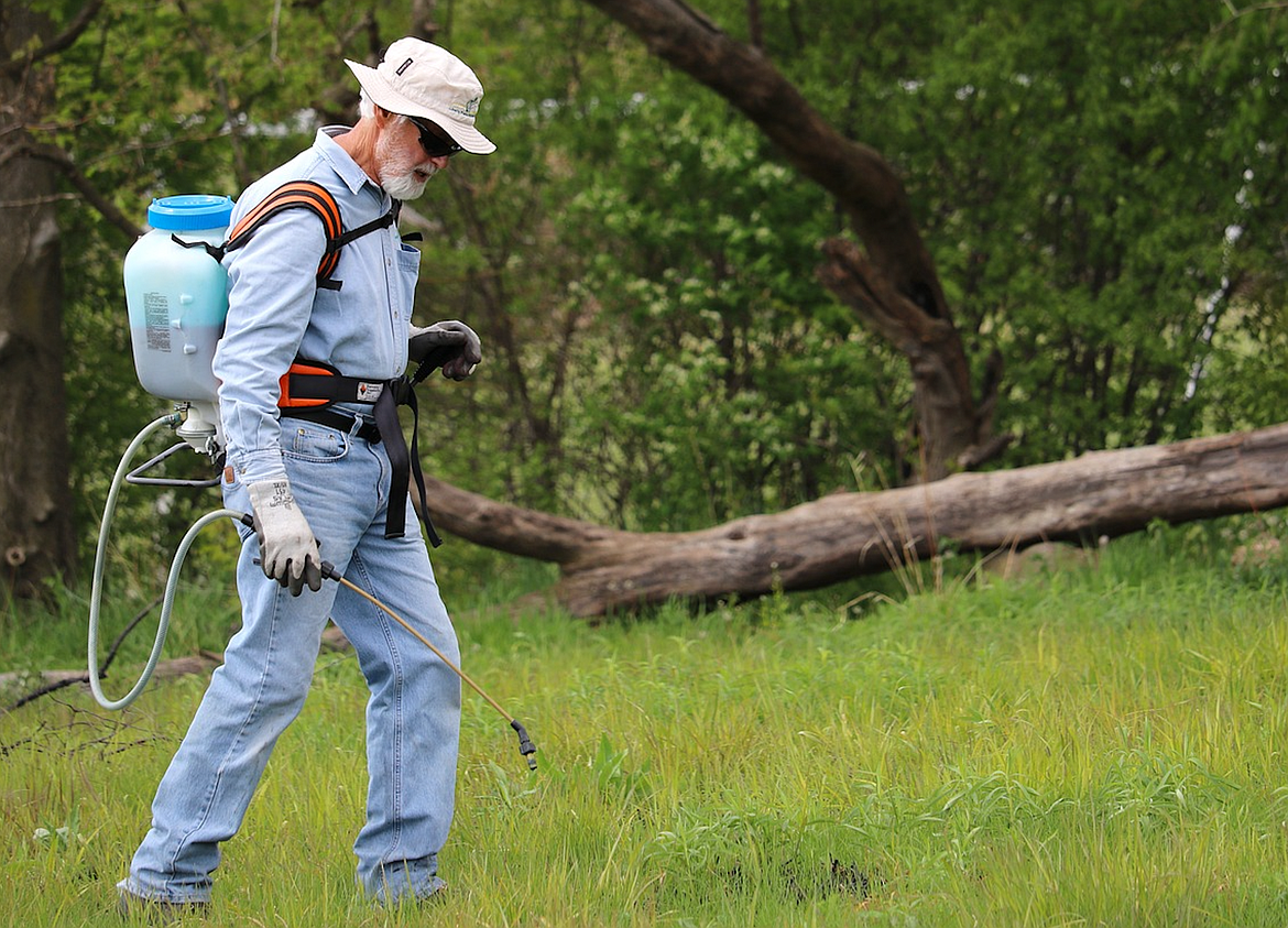 The Shoshone County Noxious Weed Advisory Board is hosting three free spray days where residents can learn about the local noxious weeds, receive free herbicide, and even borrow equipment like backpack-style weed sprayers for weed control.