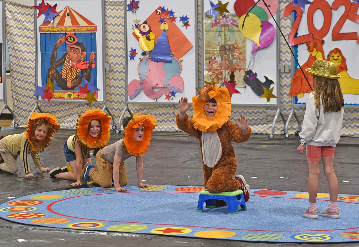 Lions bear their big claws on the stand at the Circus on Friday. (Kelsey Evans/Whitefish Pilot)