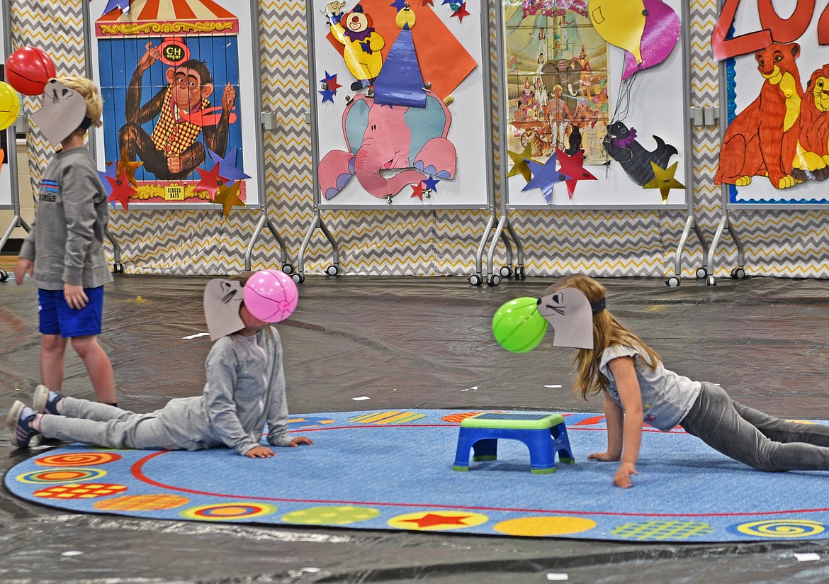 The seals clap and perform tricks on the pond in the Muldown gym. (Kelsey Evans/Whitefish Pilot)