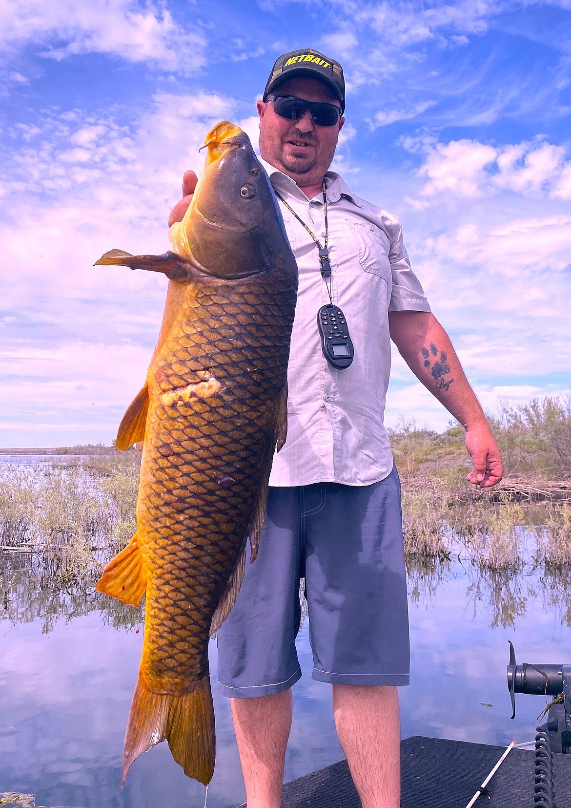 Nathan Lafrance, MarDon Resort tackle store manager, Got this huge Potholes Reservoir carp while on a shoot three days ago.