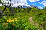 Belly Up: When things go south in a beautiful place, you just roll with it