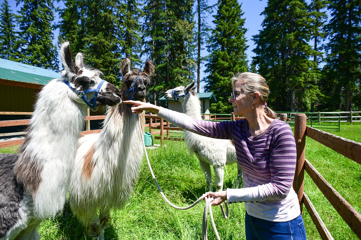 Nancy Carpenter with her llamas Tomahawk, Echo and Jackson on Wednesday, June 12. (Casey Kreider/Daily Inter Lake)