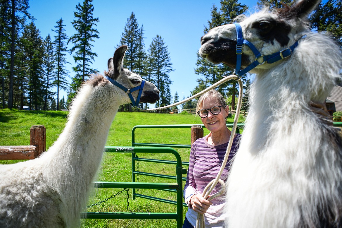 Nancy Carpenter with two of her llamas Jackson, left, and Tomahawk on Wednesday, June 12. (Casey Kreider/Daily Inter Lake)