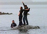 Washington state's Makah tribe clears major hurdle toward resuming traditional whale hunts