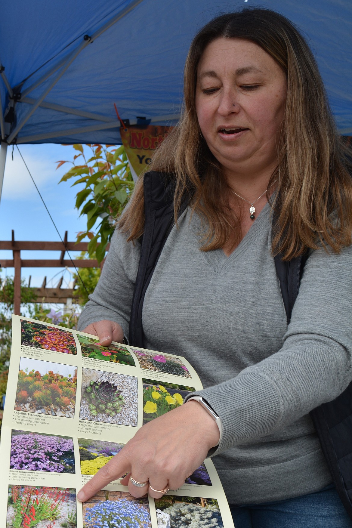 Ivy Dickinson, executive director of Idaho Firewise explains plants and flowers to better resist wildfire damage to your property.