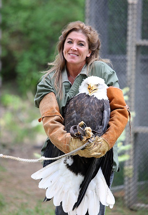 Jane Veltkamp of Birds of Prey Northwest with Beauty the Bald Eagle.