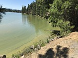 OUR GEM: Harmful algal blooms pose risk