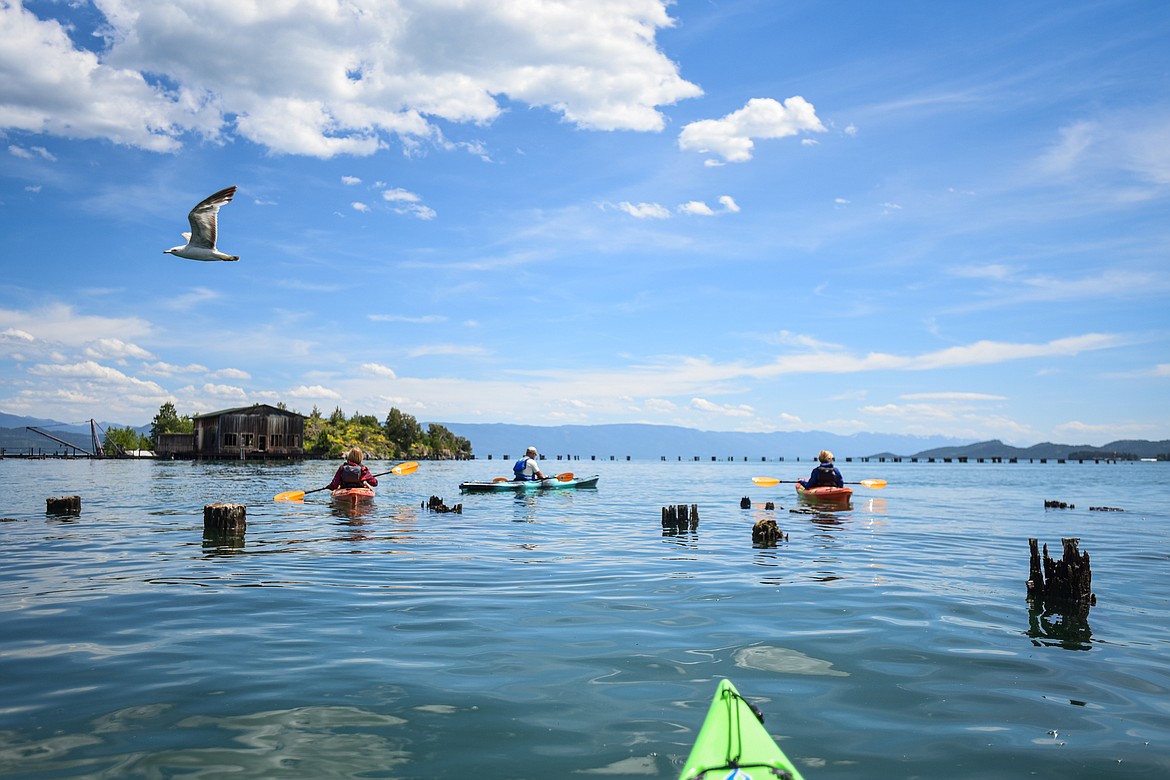 Sea Me Paddle guide Tyler Cohran leads kayakers out onto Flathead Lake from Somers Bay during a tour on Friday, June 14. (Casey Kreider/Daily Inter Lake)