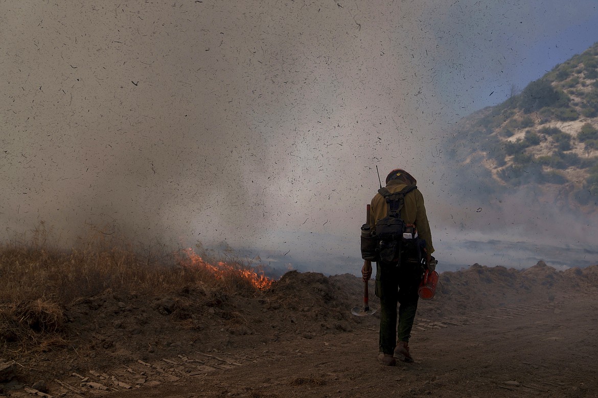 A firefighter shields against debris from the wind during the Post Fire, Sunday, June 16, 2024, in Lebec, Calif. (AP Photo/Eric Thayer)