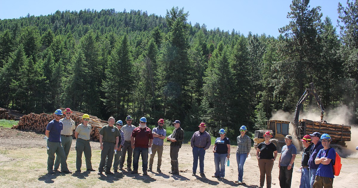 Tour highlights local timber sales | Valley Press/Mineral Independent
