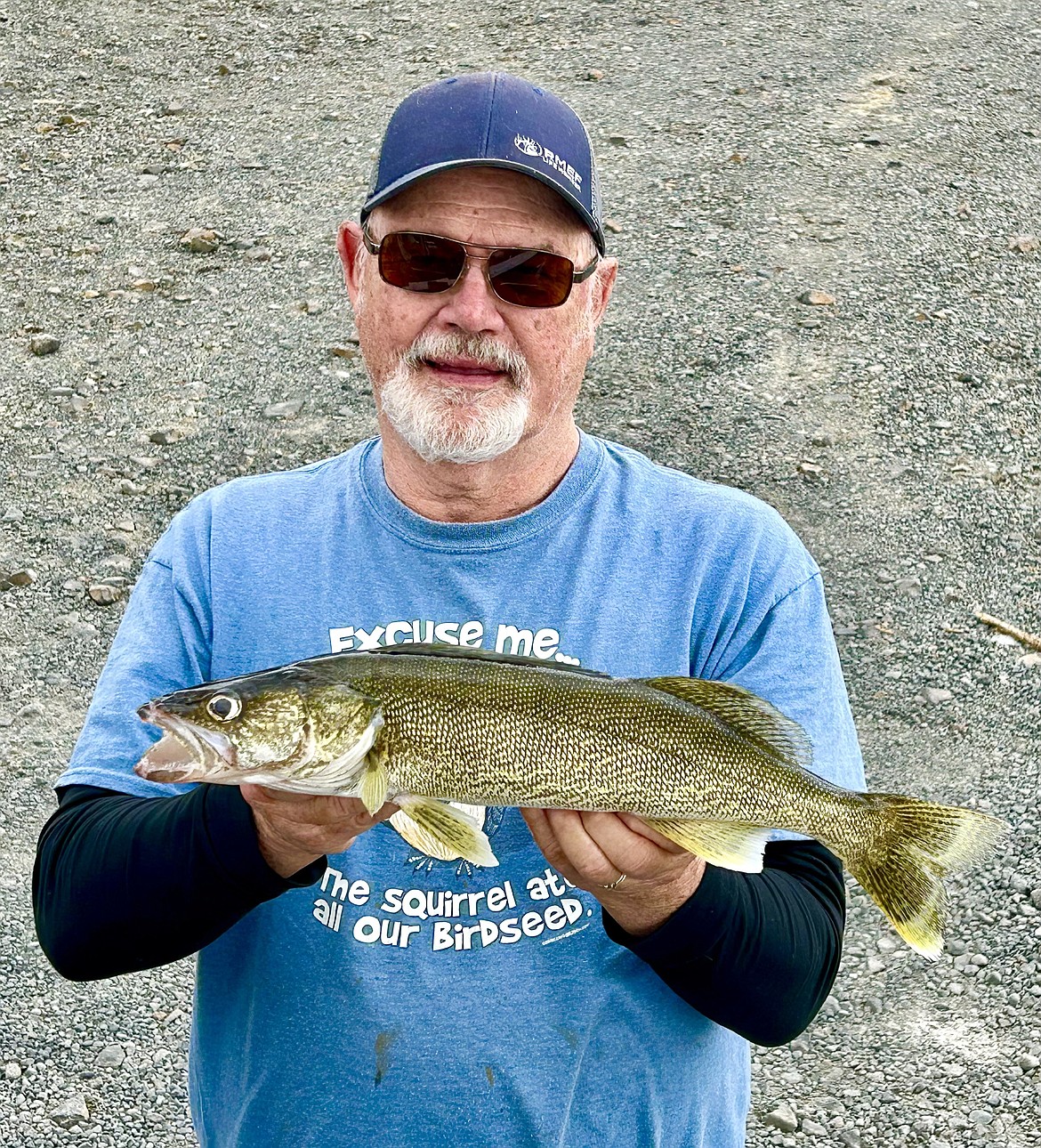 Brad Elchlepp of North Bend caught a nice batch of perfect eater-size Potholes Reservoir walleye pulling Slow Death rigs back in the sand dunes this past week.